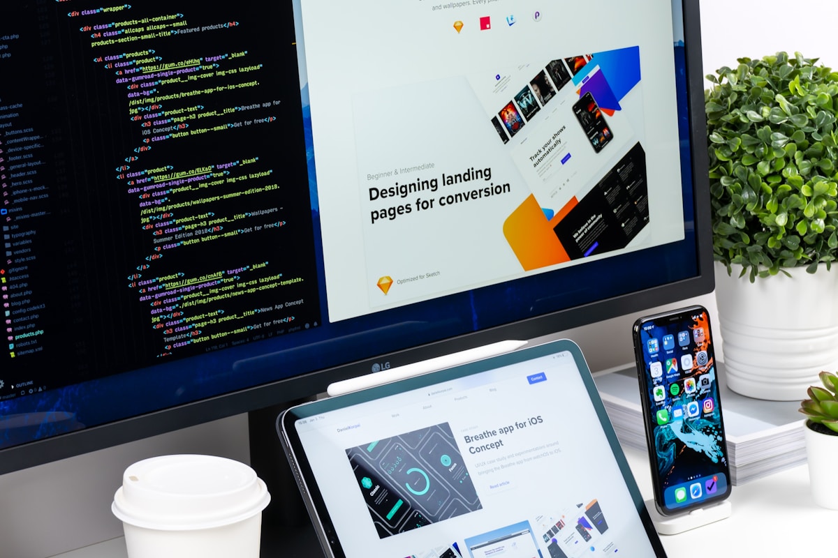 Web Designing & Development